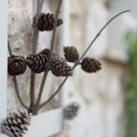 stonevilla Emmanouil Lithakia (Zakynthos)